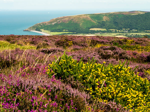 Südengland Südengland